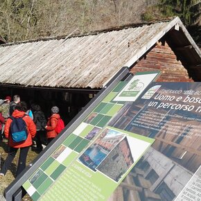 The Venetian sawmill operated thanks to the power of water | © Rete di Riserve Val di Cembra Avisio
