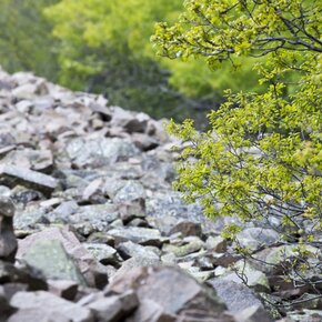 La vecchia Cava dei Gravoni | © Rete di Riserve Val di Cembra Avisio