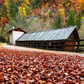 The Venetian sawmill seen from the outside | © Rete di Riserve Val di Cembra Avisio