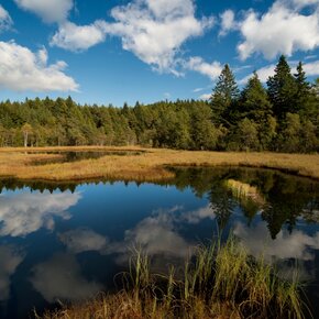 Lac del Vedes, one of the most beautiful peat bogs in Trentino | © Rete di Riserve Val di Cembra Avisio