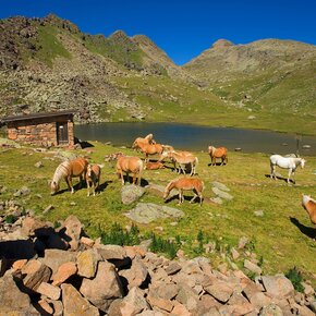 Alpe Lusia - Lakes of Lusia - ©Archivio APT Val di Fassa | © APT Val di Fassa