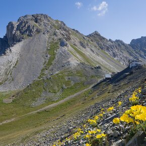 Passo delle Selle ©Archivio APT Val di Fassa | © APT Val di Fassa