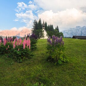San Giovanni - Falasorni | © APT San Martino di Castrozza, Primiero e Vanoi