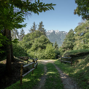 Piani di Bosentino | © Azienda per il Turismo Alpe Cimbra