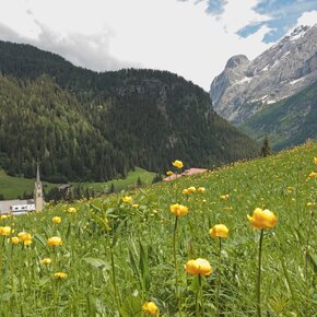Alba di Canazei - Gran Vernel - ©Archivio APT Val di Fassa | © APT Val di Fassa