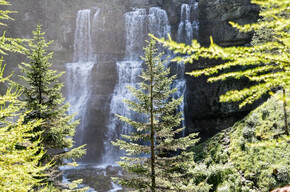 Tour E-bike Vallesinella | © APT Madonna di Campiglio, Pinzolo, Val Rendena