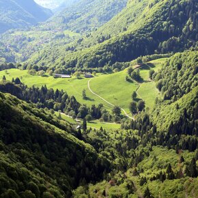 View of Malga Grassi | © Garda Trentino 