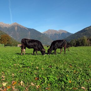 Caderzone Terme- Trekking della Salute | © APT Madonna di Campiglio, Pinzolo, Val Rendena