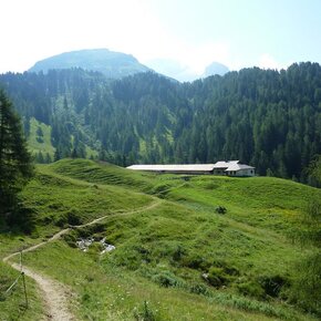 Doss del Sabion – Malga Bandalors - Prarodont | © APT Madonna di Campiglio, Pinzolo, Val Rendena