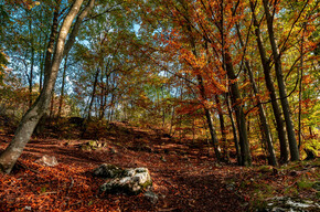 Marzola-Rundweg | © Azienda per il Turismo Alpe Cimbra