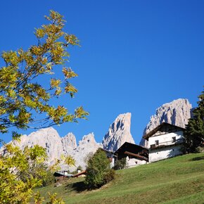 Campitello - Pian ©Archivio APT Val di Fassa | © APT Val di Fassa