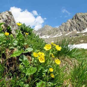 Laghetto di Ortisé | © APT Valli di Sole, Peio e Rabbi