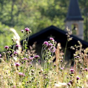 Blooming at Sant'Anna | © Garda Trentino 