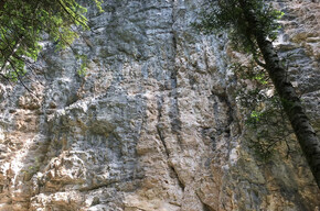 Tret Falls Crag - 19 routes from 5a to 6c+ | © APT Val di Non 