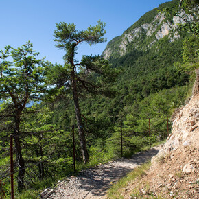 Il Lez Sentiero Margherita passeggiate in piano in Val di Non Trentino | © APT Val di Non 