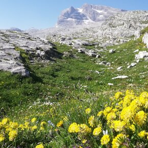 DBT variant stage 10: Malga Flavona - Rifugio Graffer | © APT Madonna di Campiglio, Pinzolo, Val Rendena