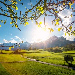 Giro dei Masi | © APT Dolomiti di Brenta e Paganella
