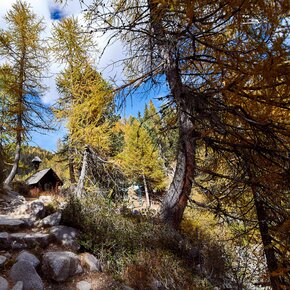 Pradalago - Lago Malghette - Malga Zeledria | © Madonna di Campiglio Azienda per il Turismo 