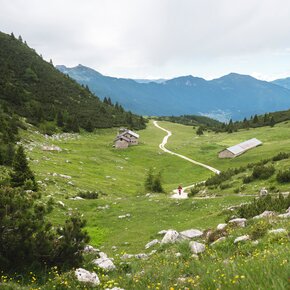 The meadows around Malga Covelo | © APT Dolomiti di Brenta e Paganella