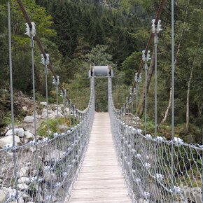 Steel cable footbridge along "The whole forest in one path", Val di Borzago | © APT Madonna di Campiglio, Pinzolo, Val Rendena