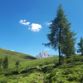 Panoramic Trek Alpe Tognola | © APT San Martino di Castrozza, Primiero e Vanoi
