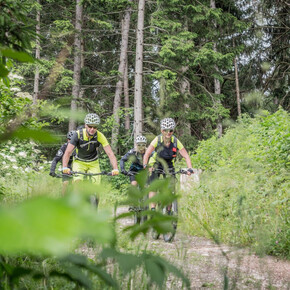 In ciclabile da Baselga a Montagnaga | © APT Trento 