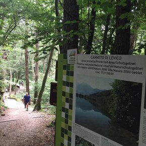 Passeggiata Biotopo Il canneto di Levico | © APT Valsugana e Lagorai