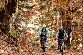 E-Bike nei boschi | © APT Dolomiti di Brenta e Paganella