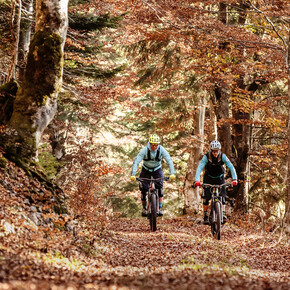 E-Bike nei boschi | © APT Dolomiti di Brenta e Paganella