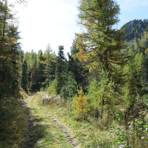 Trekking Baitol - Monte Croce | © APT Trento 