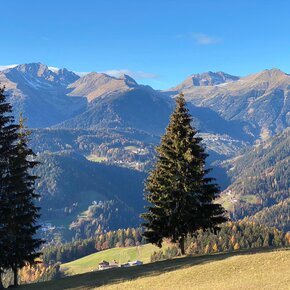 View of Lauregno from Monte Ozol | © APT Val di Non 