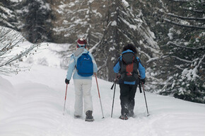 On the way | © APT Val di Fiemme