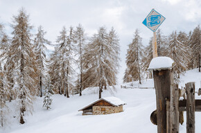 Tra le malghe di Bolentina | © APT Valli di Sole, Peio e Rabbi