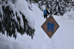 Le Malghe di Ortisé | © Azienda per Il Turismo Val di Sole