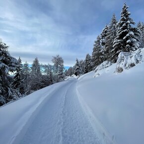 Serrada - Baita Tonda | © Azienda per il Turismo Alpe Cimbra
