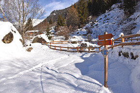 Giro dei masi di Cogolo | © Azienda per Il Turismo Val di Sole