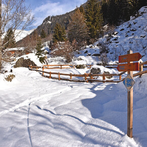 Giro dei masi di Cogolo | © Azienda per Il Turismo Val di Sole