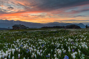 Lessinia Ring - short | © APT Rovereto Vallagarina Monte Baldo