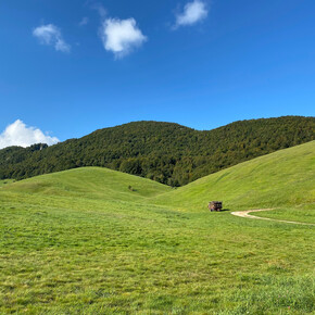 giro delle malghe | © APT Rovereto Vallagarina Monte Baldo