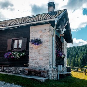 Passeggiata - Giro delle Malghe - Altopiano di Vezzena" Anello attorno al colle di Verle" | © APT Valsugana e Lagorai