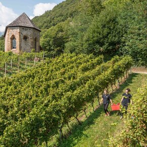 Fra vigne, boschi e sapori della Valle di Cembra | © APT Trento 