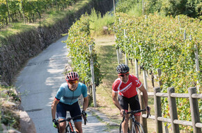 Auf zwei Rädern zwischen den Weinbergen und den kulinarischen Spezialitäten | © APT Trento 