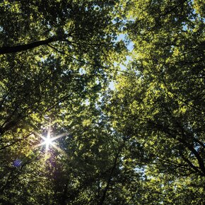 Parco del Respiro | © APT Dolomiti di Brenta e Paganella