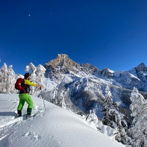 Malga Ces – Piani della Cavallazza – Orti Forestali | © APT San Martino di Castrozza, Primiero e Vanoi