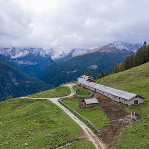 Malga Cespedè - Samocleva | © APT Valli di Sole, Peio e Rabbi