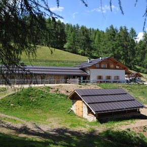 Malga Mas de la Cros | © APT Valli di Sole, Peio e Rabbi