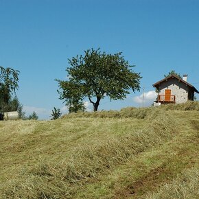Giro ad anello a Saccone | © APT Rovereto Vallagarina Monte Baldo