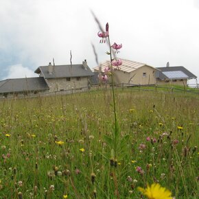 Malga Campei | © APT Rovereto Vallagarina Monte Baldo
