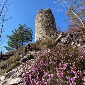 Camminata ai ruderi di Castel San Pietro, alle spalle del famoso Castel Thun | © APT Val di Non 