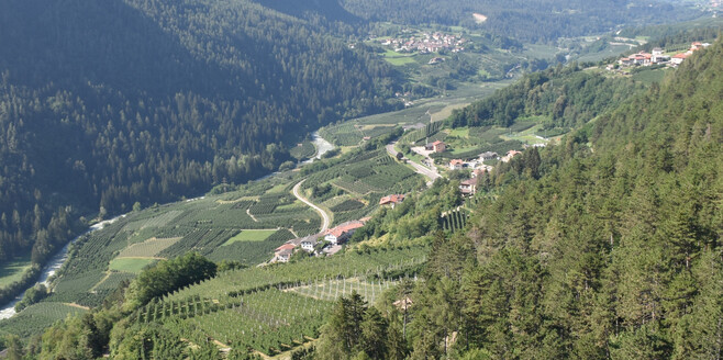 View from the trenches | © APT Valli di Sole, Peio e Rabbi